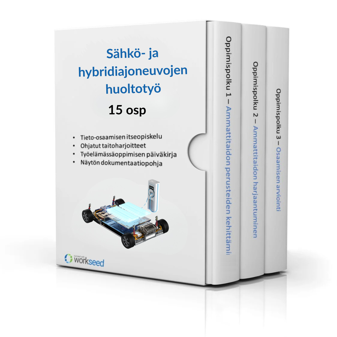Sähkö- ja hybridiajoneuvojen huoltotyö